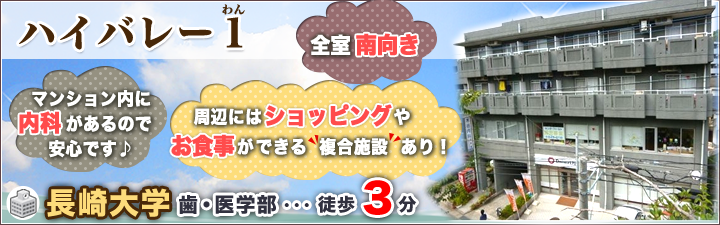 ハイバレー1