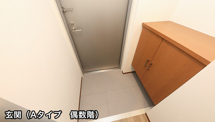 内観・外観