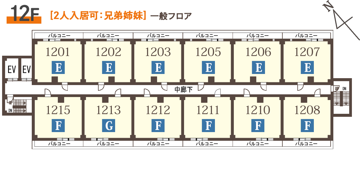 平面図
