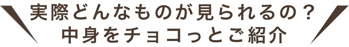 実際どんなものが見られるの?中身をチョコっとご紹介