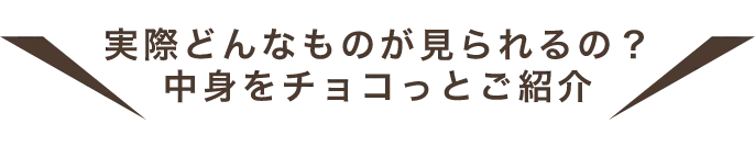 実際どんなものが見られるの?中身をチョコっとご紹介