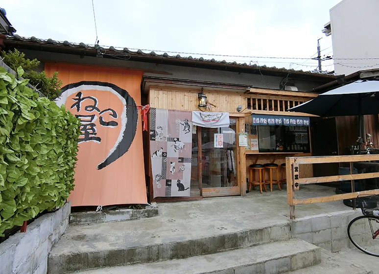 ねこカフェねこ屋（江戸橋店）