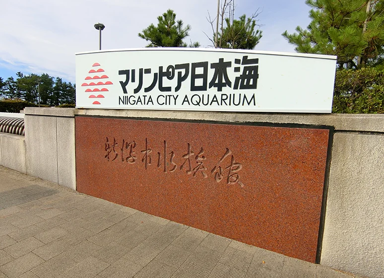 新潟市水族館　マリンピア日本海