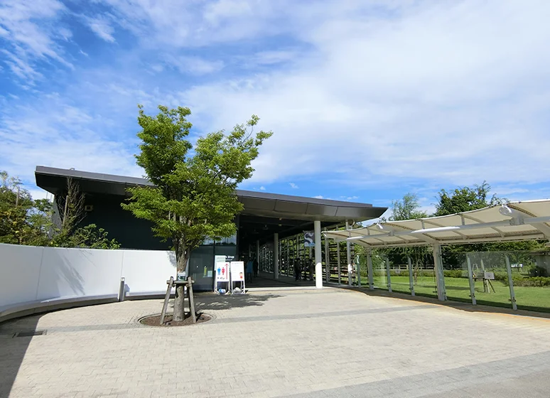 新潟市水族館 マリンピア日本海
