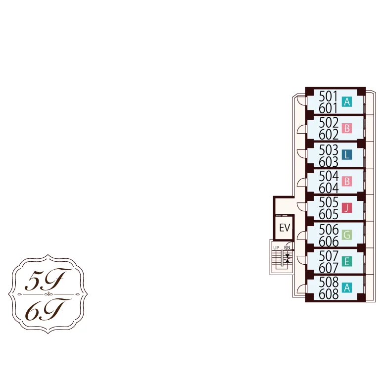 5・6F
