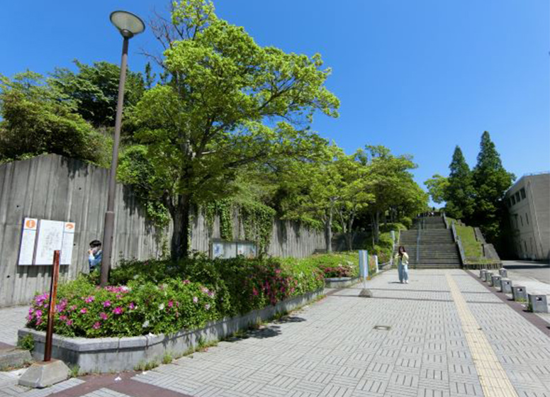 和歌山大学