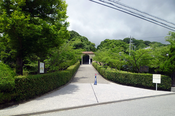 神戸女学院大学特集