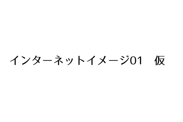 インターネット(月額無料)