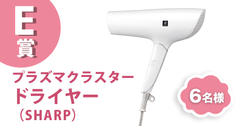 E賞、プラズマクラスタードライヤー(SHARP)
