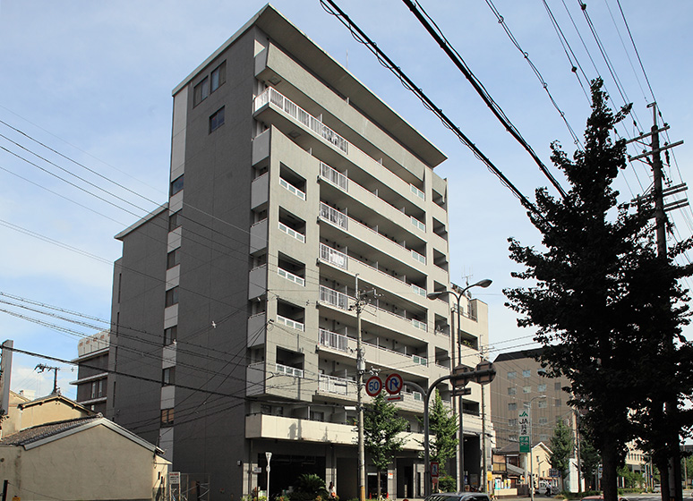 外観